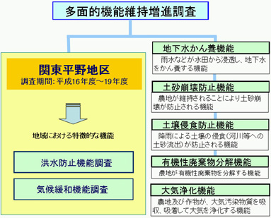 多面的機能維持増進調査
