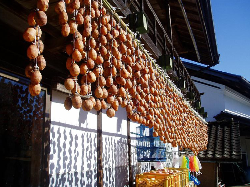 群馬県みなかみ町干し柿