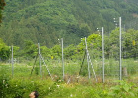 広域獣害防止柵（電気柵）神奈川県相模原市（旧津久井町）