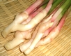 葉しょうが