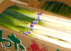 磐田の白ネギ