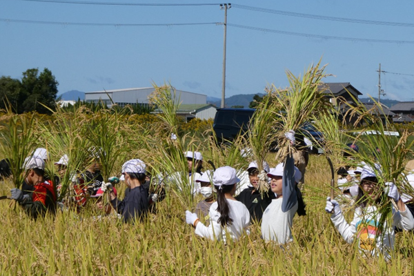 兵庫県フォトレポ―ト