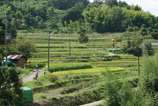 明日香村の風景