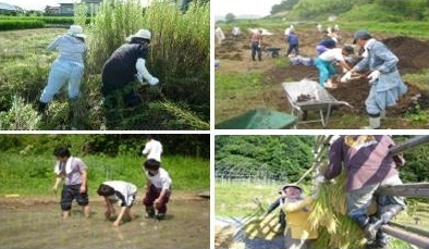 ボランティアの主な活動の様子