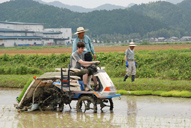 留学生も田植機に挑戦