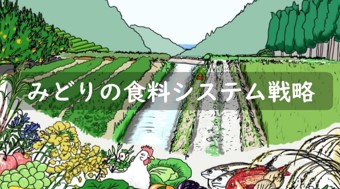 防災・災害に関する情報