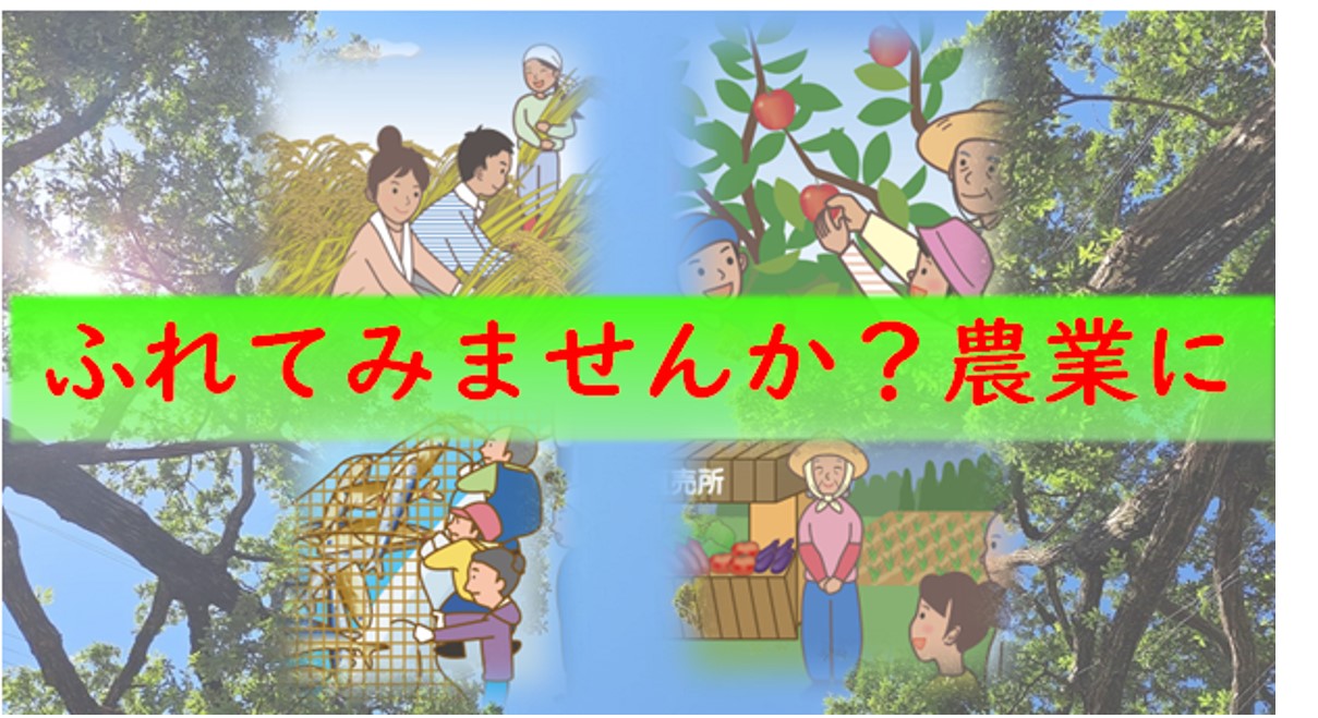 近畿の農業・農村の6次産業化