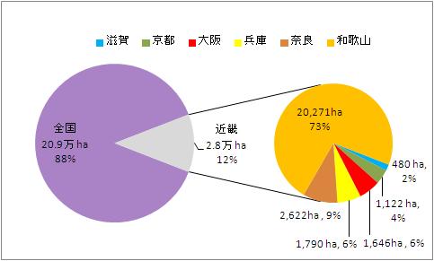 主要果樹の栽培面積