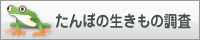 たんぼの生きものの調査