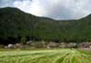 良好な農村景観の形成