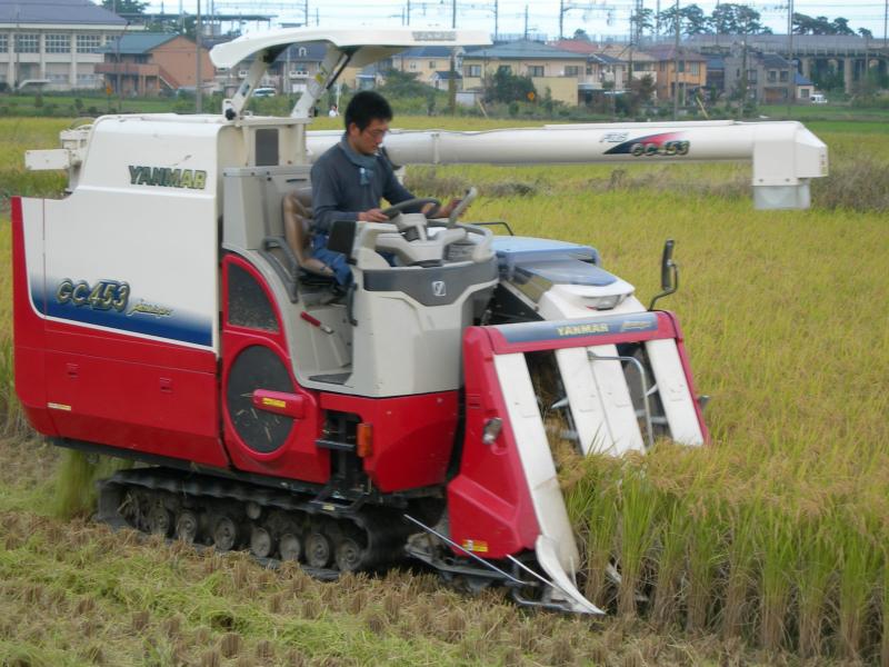 収穫作業