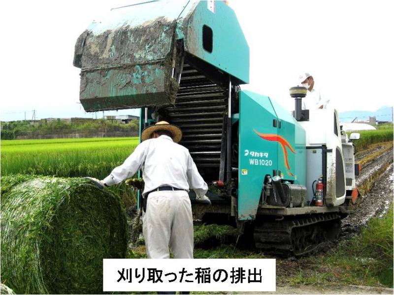 刈り取った稲の排出