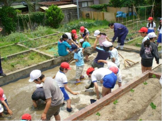 潮小学校代かき2