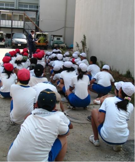 潮小学校稲刈り1