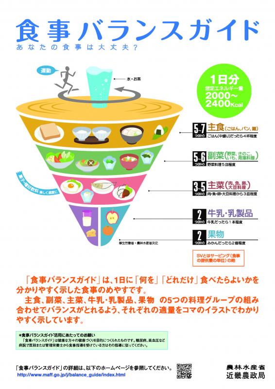 食事バランスガイドの解説ポスター（コマの説明）