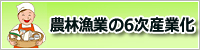 6次