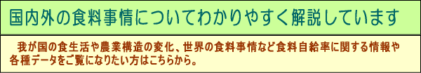 国内の食料事情についてわかりやすく解説しています