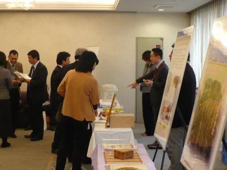 展示1