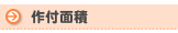��t�ʐ�