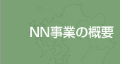 NN���Ƃ̌���