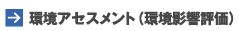 ���A�Z�X�����g�i���e���]���j