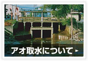 �A�I�搅�ɂ���