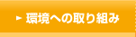 ���ւ̎��g��