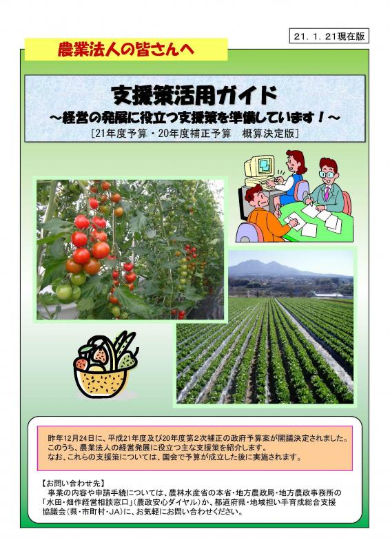 「農業法人向け支援策活用ガイド」の表紙画像