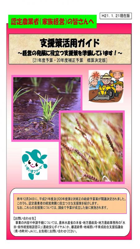 「認定農業者向け支援策活用ガイド」の表紙画像