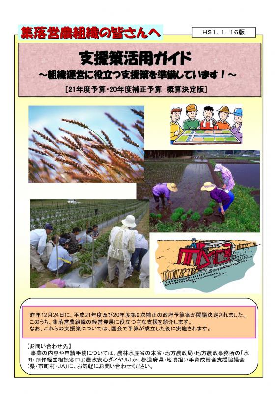 「集落営農組織向け支援活用ガイド」の表紙画像