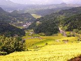 唐津市蕨野の棚田