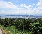 杵築市守江のみかん畑より望む杵築湾