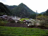 佐伯市本匠・小半地区