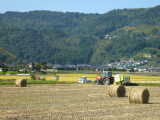 霧島市隼人町内山田地区の田園風景