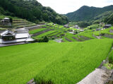 川棚町・棚田