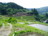 玖珠町山浦早水の棚田