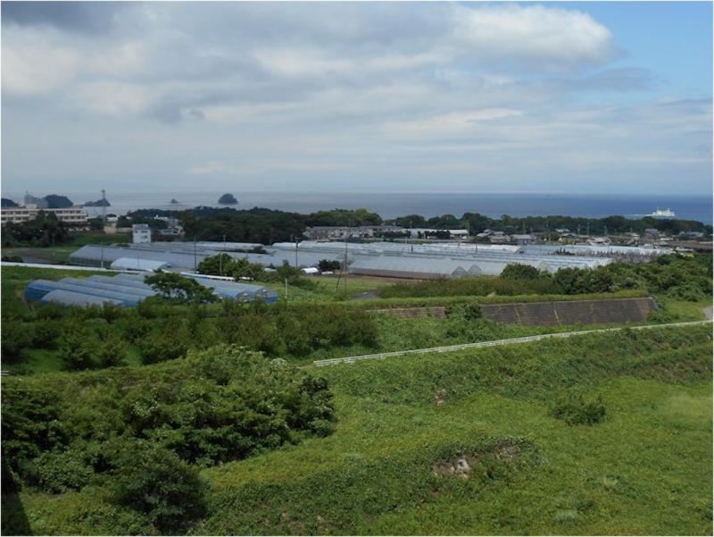 雲仙普賢岳の被災農地での施設栽培