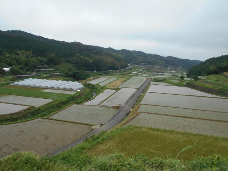 長崎県雲仙市の棚田
