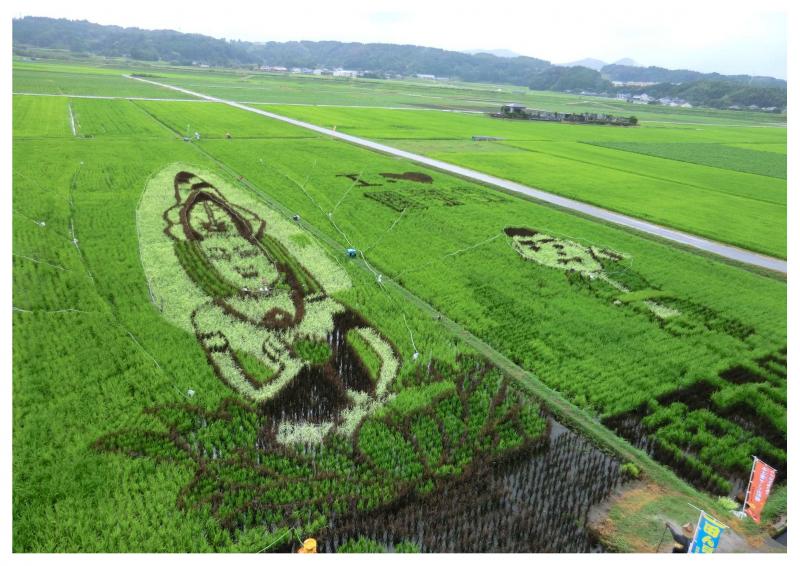 田んぼアート