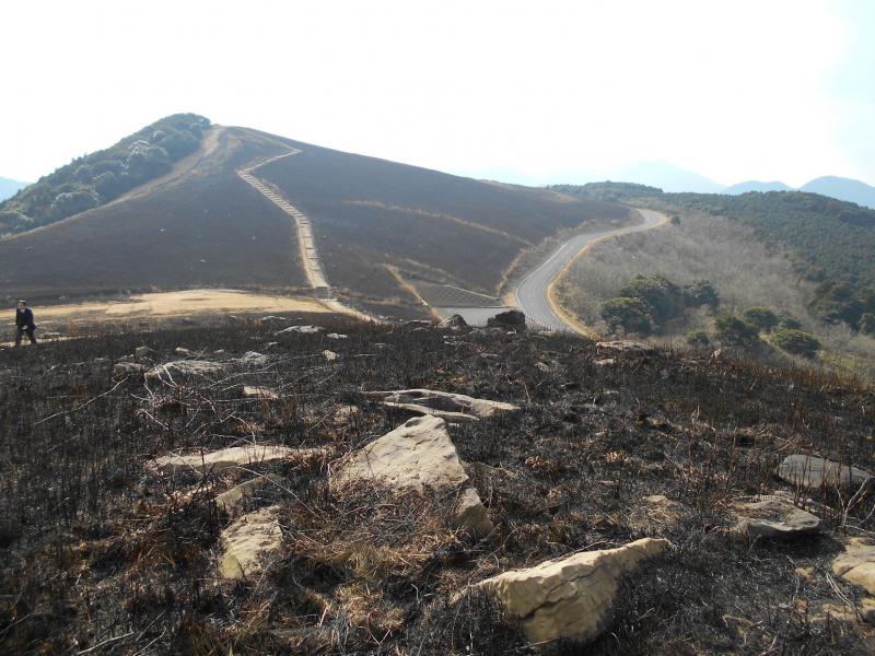 平戸市川内峠の野焼き後の風景