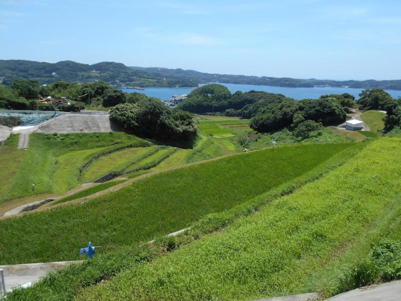 壱岐市北部の条件不利な水田風景です。