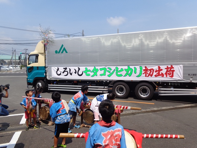 佐賀の七夕コシヒカリが初出荷を迎えました。