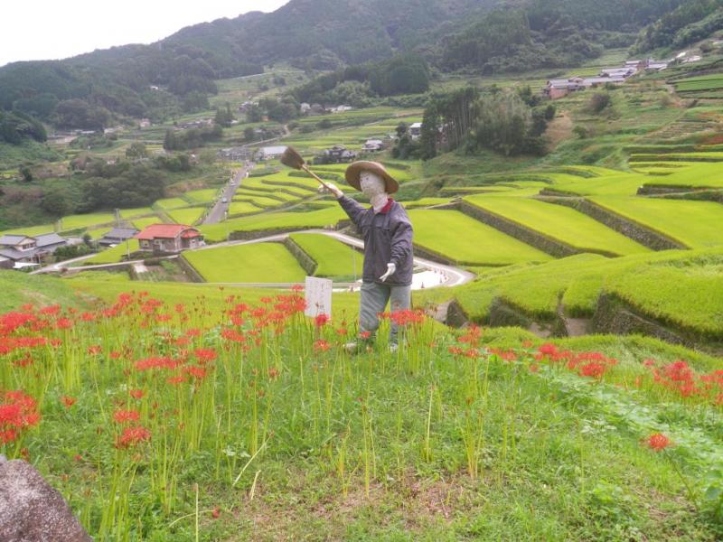 長崎県波佐見町の鬼木棚田です。