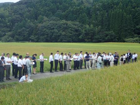 現地調査の模様です。