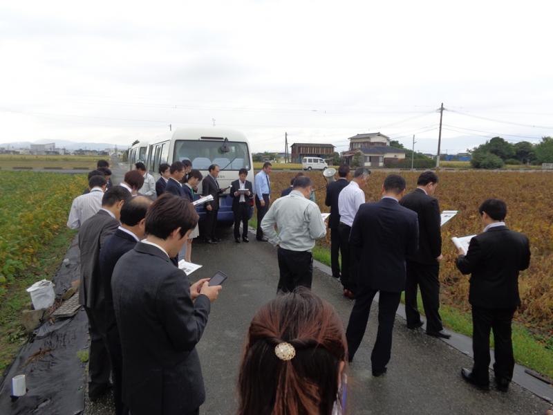 大豆圃場の現地視察を行っている様子