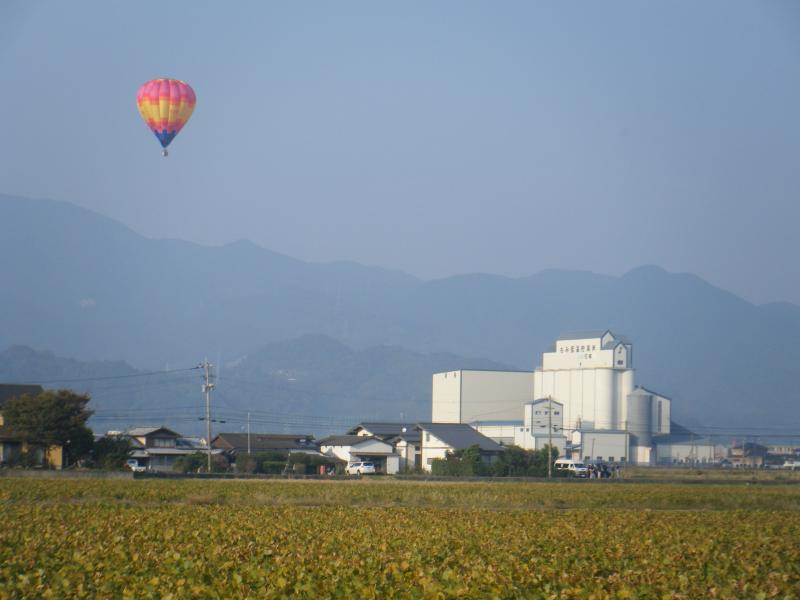 佐賀平野での大豆栽培とバルーンフェスタ