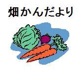 畑かんだより
