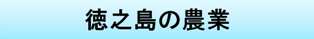 徳之島の農業