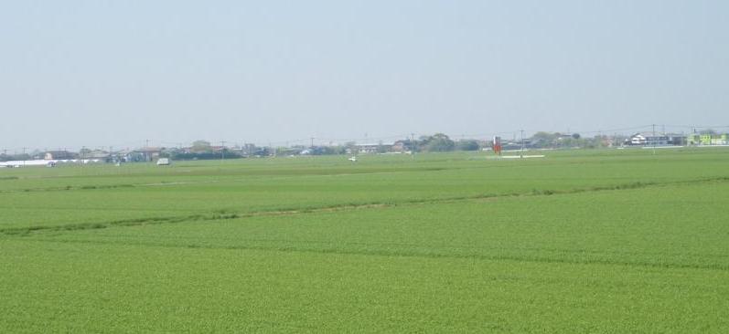 田園風景