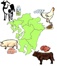 九州のイメージ図